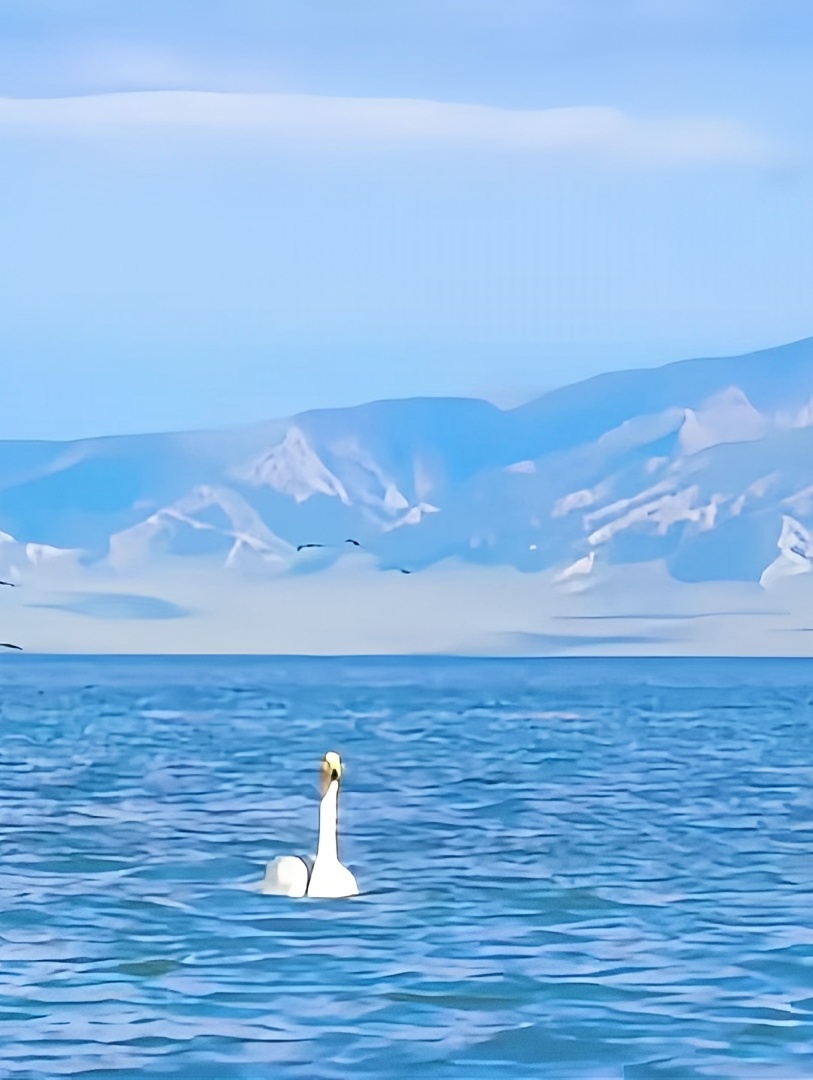 **梦幻天鹅湖**：一场震撼心灵的旅程 #美丽的天鹅湖 #新疆旅行 #旅游攻略