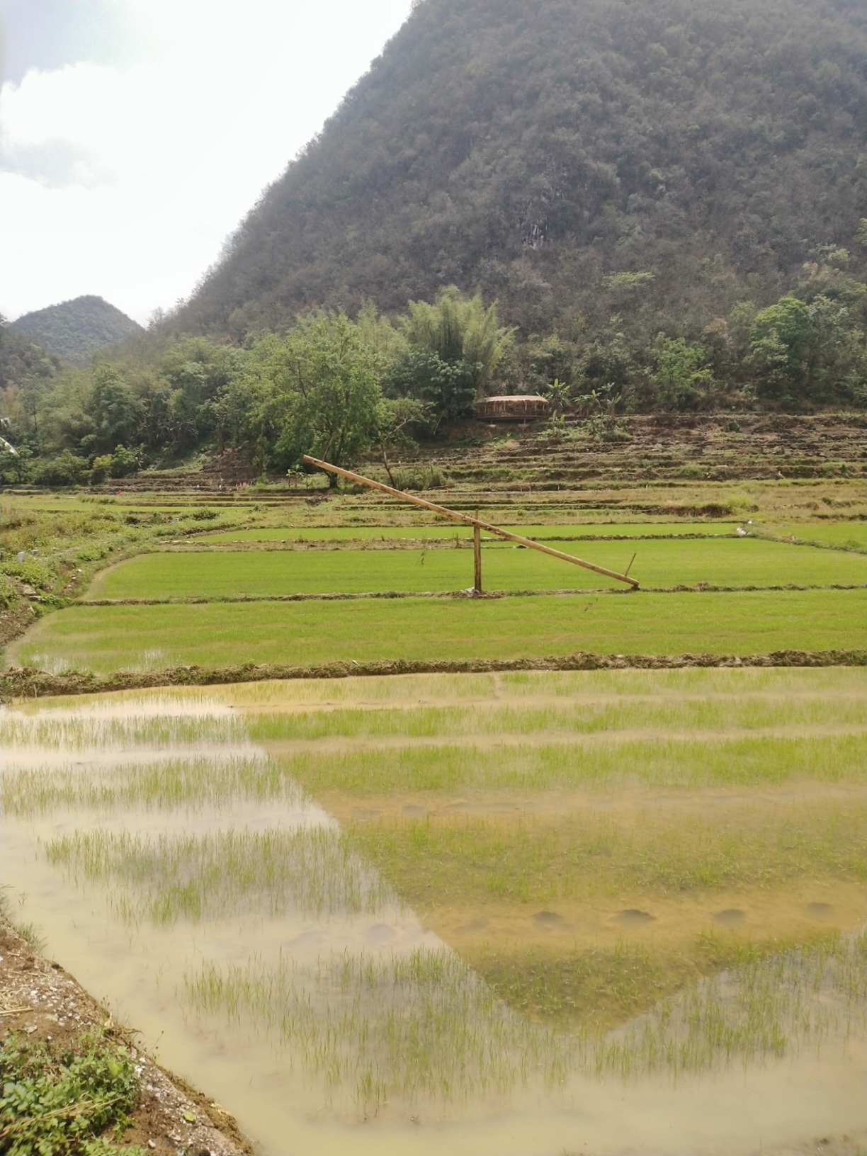 谷雨后，青山明，水更秀