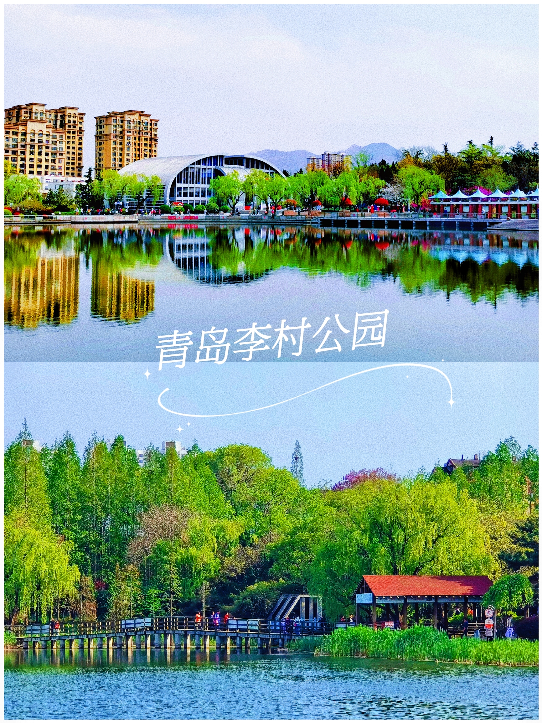 青岛李村公园你玩得可真花啊‼️双樱盛开灿若云霞·赏樱游园攻略