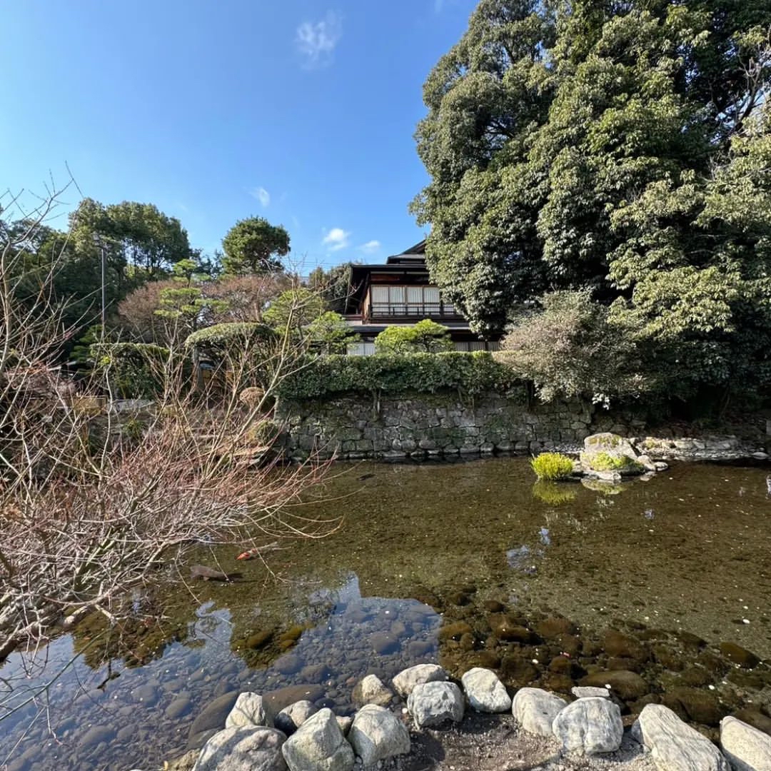 🌸水前寺探秘：熊本的自然与历史交织之地🏯✨