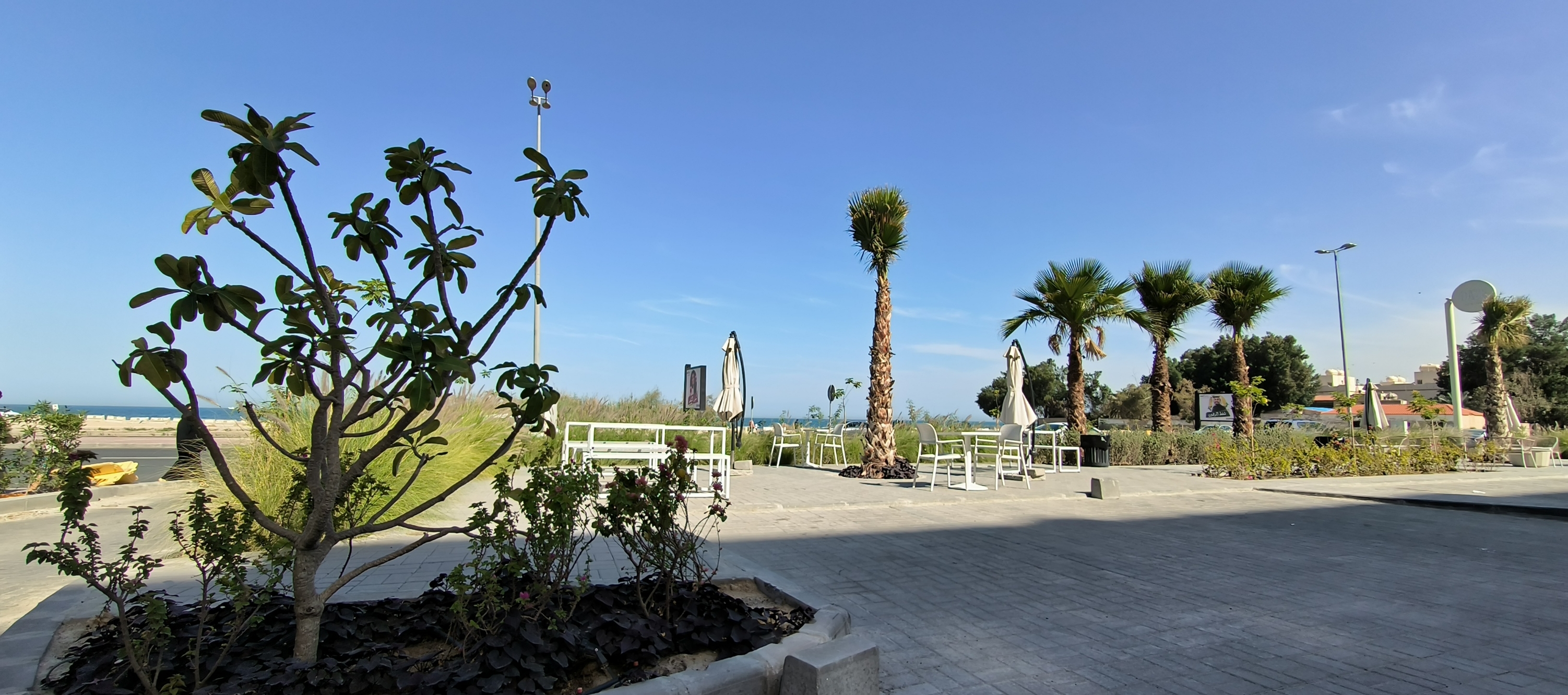 科威特国家，中东土豪国家。海岸线绵长。曼卡夫希尔顿酒店，游客络绎不绝，棕榈树，沙滩，构成独特的风景。