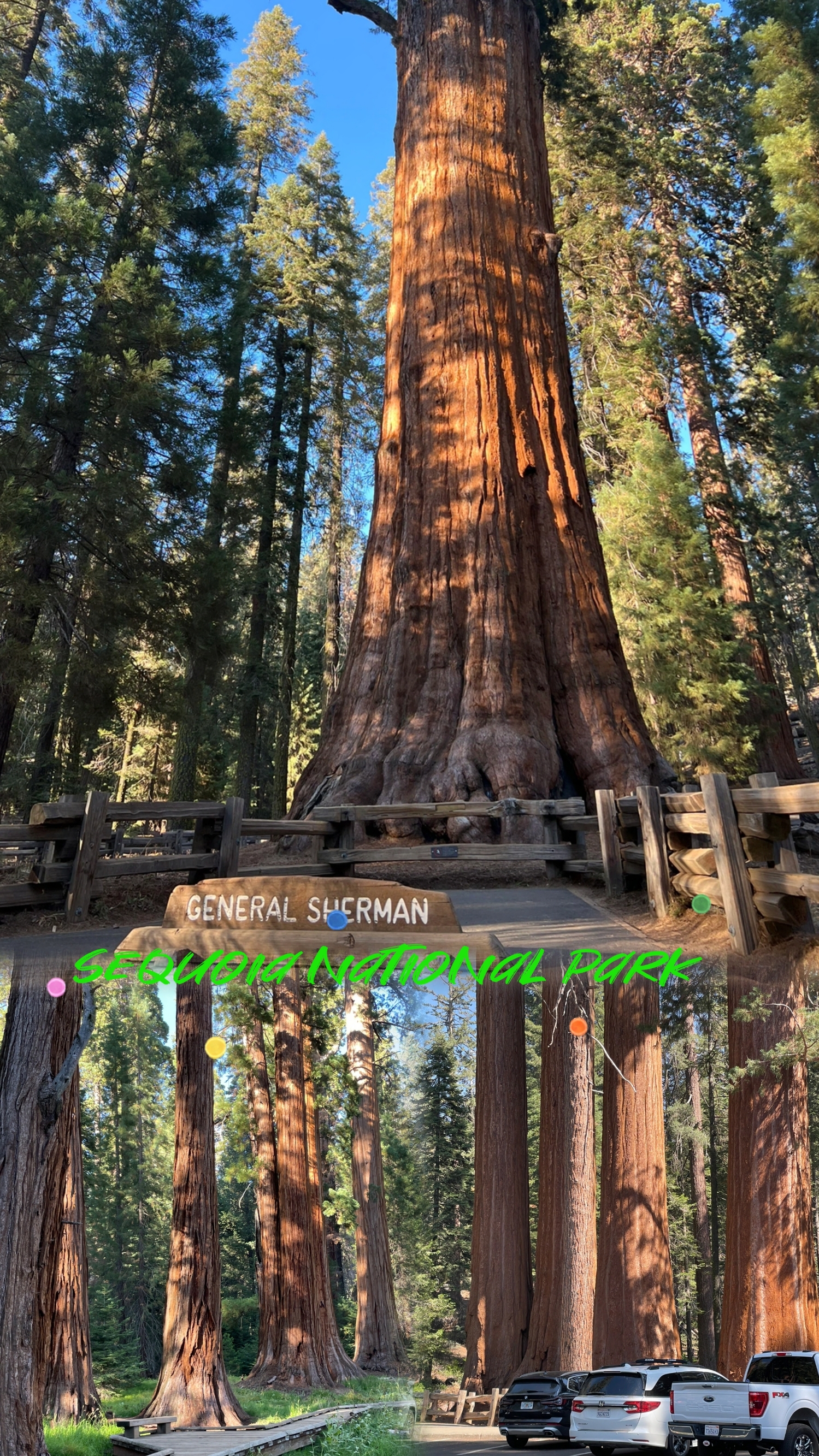 Sequoia National Park红杉树国家公园🇺🇸