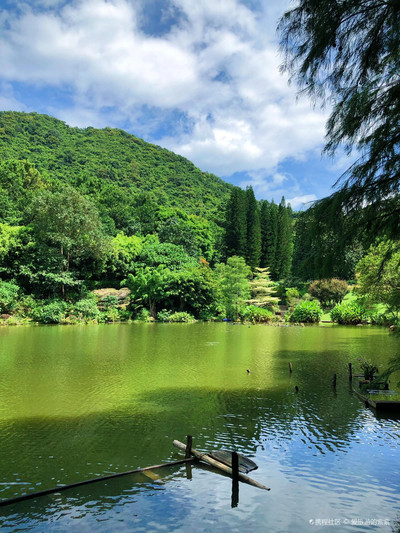 深圳仙湖植物园｜难以想象美得恍如仙境