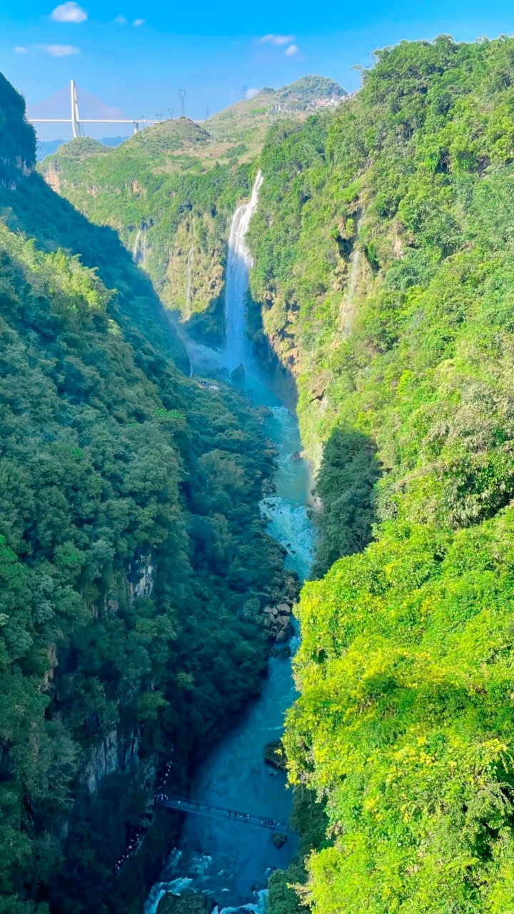 郑记刷把头(迎新路店)