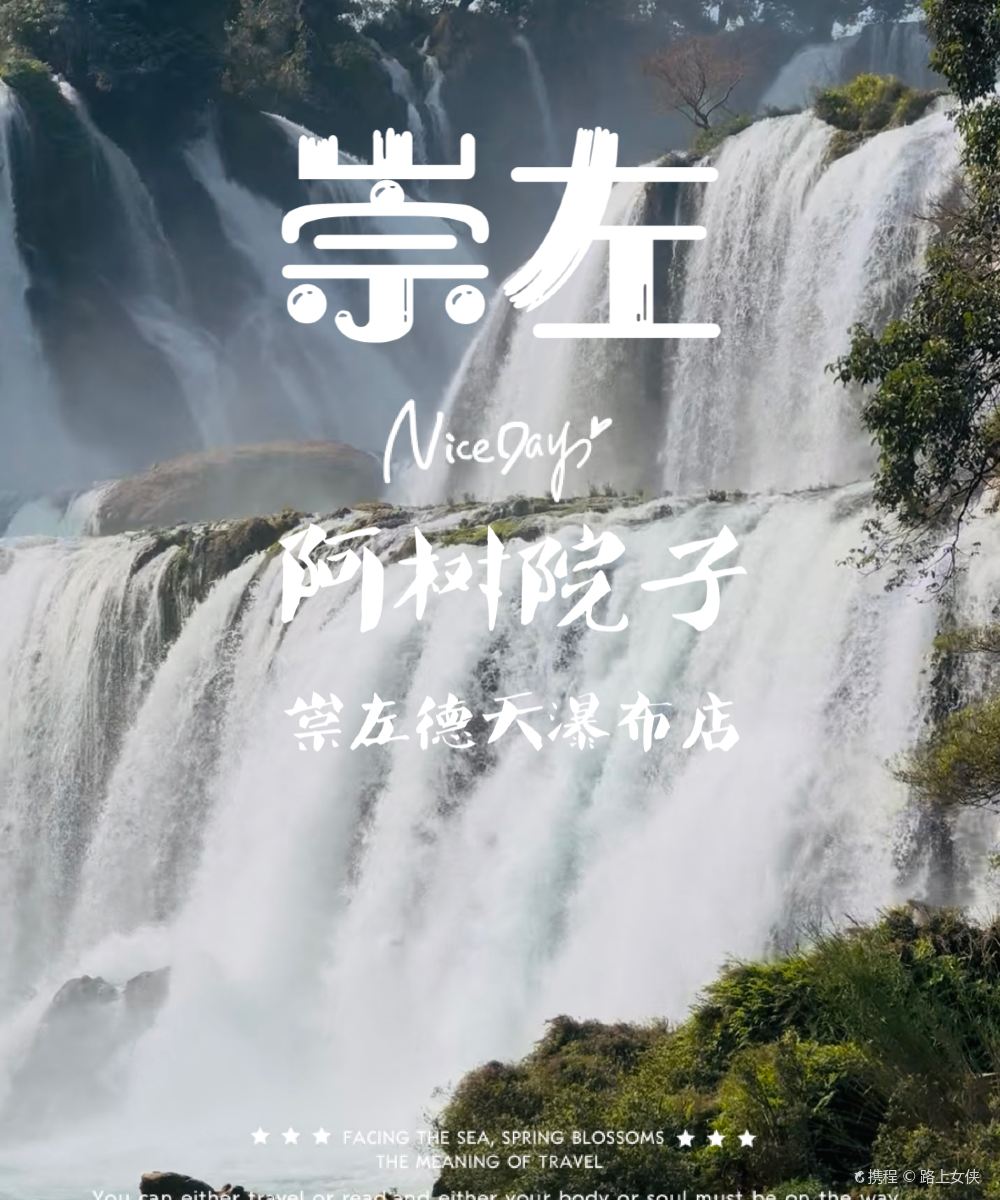 大新阿树院子酒店(德天瀑布店)图片