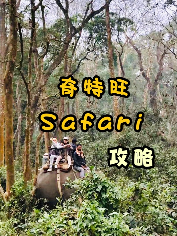 🇳🇵我在奇特旺Jungle Safari｜奇特旺丛林之旅