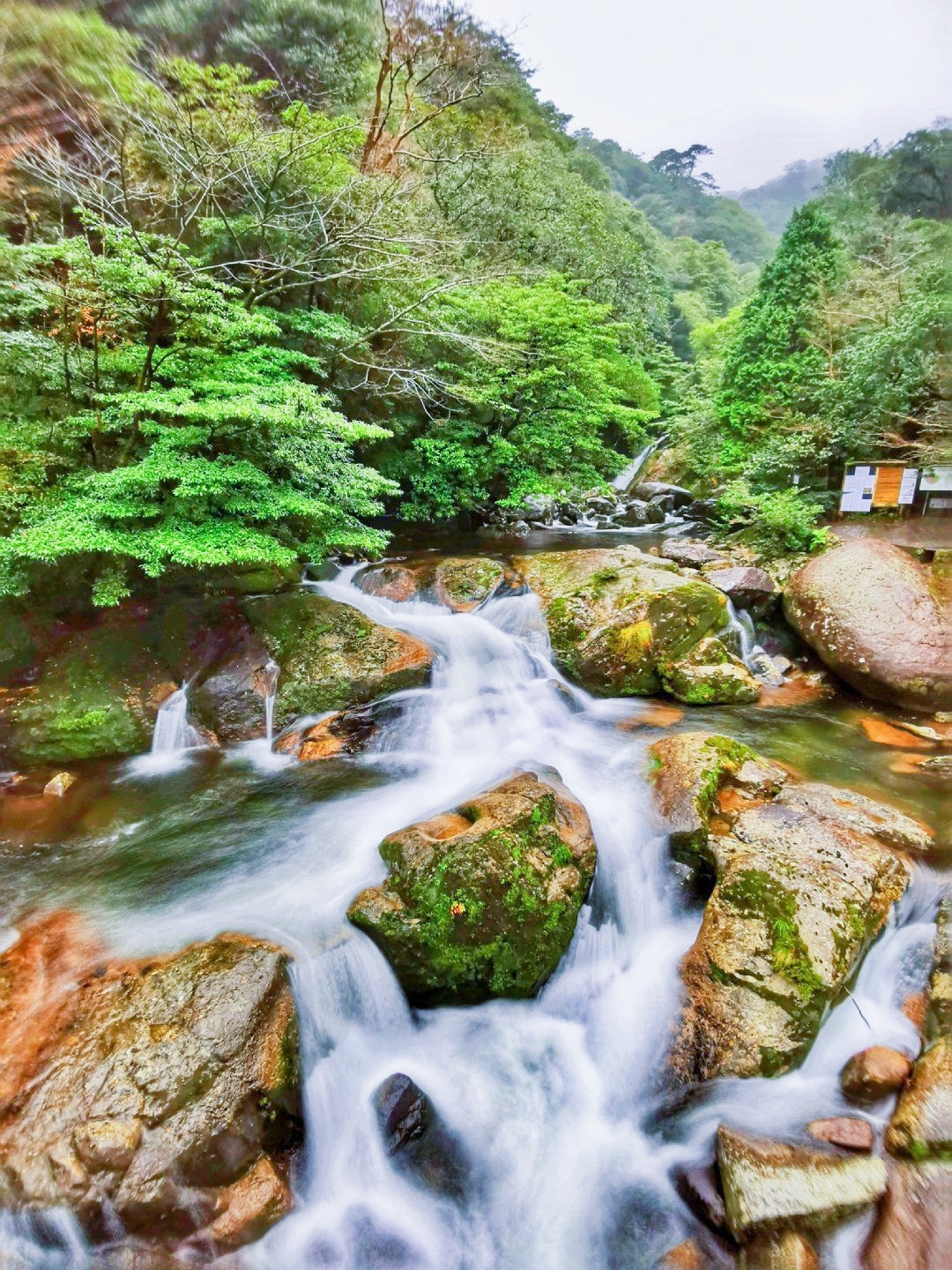 日本白谷云水峡——探秘《幽灵公主》取景地！