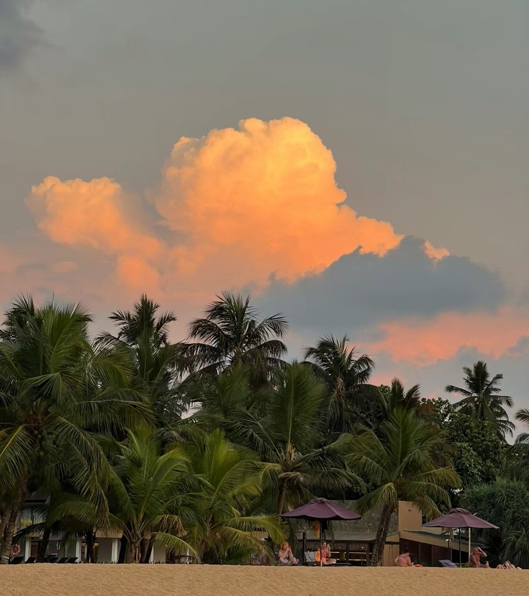 坐在大榕树下，吹着海风，看印度洋最美丽的日落。