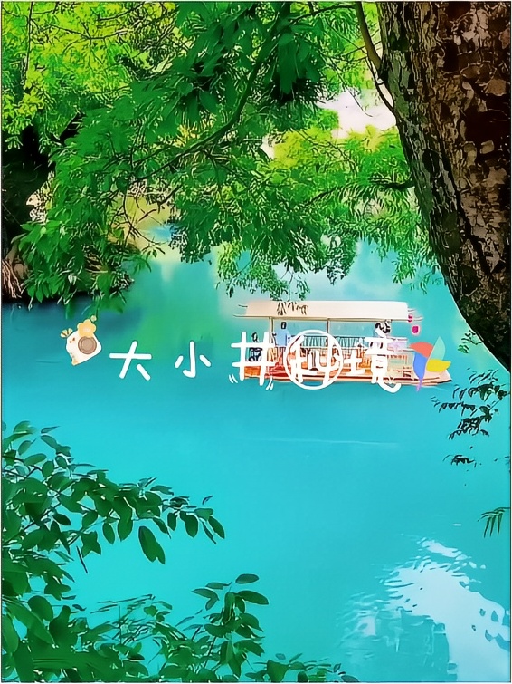 贵州的“天然氧吧”