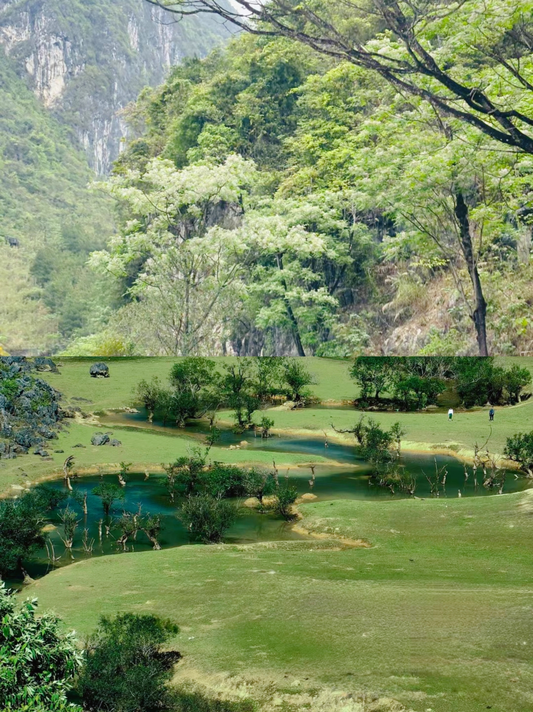 春天来一场说走就走的徒步旅行吧。