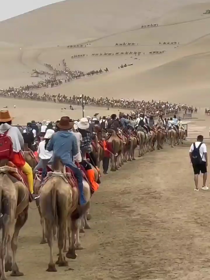 库木塔格沙漠，驼队在沙漠里穿行。