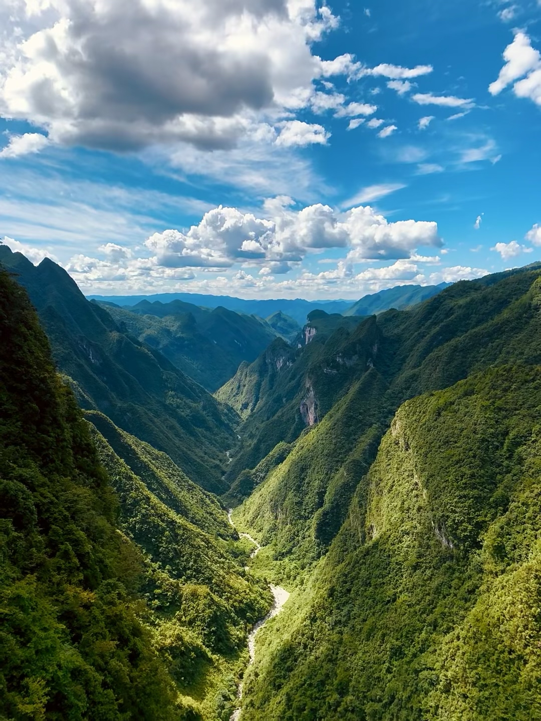 德宏面庄(树仁街店)