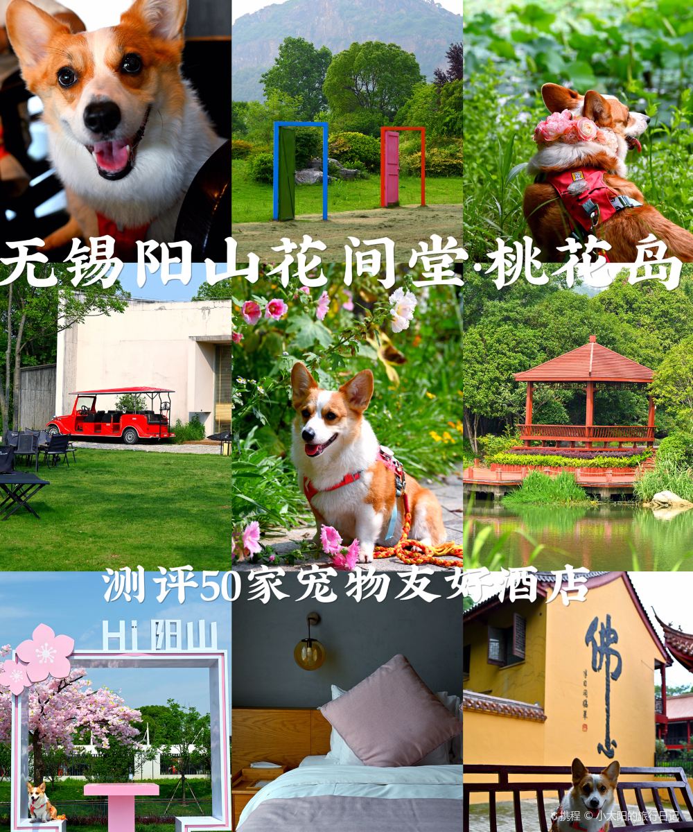 无锡阳山花间堂·桃花岛图片