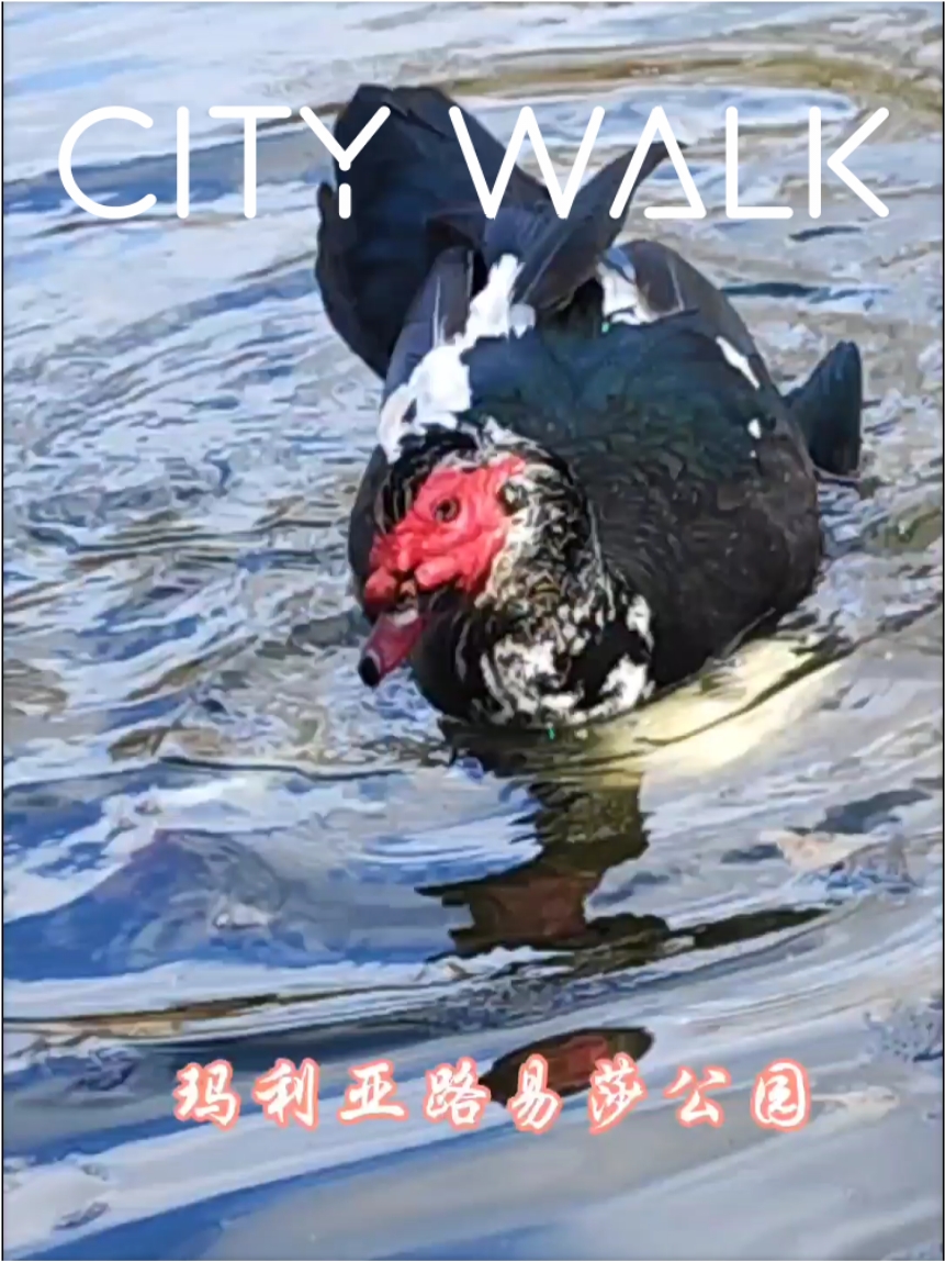 CITY WALK 趣味多