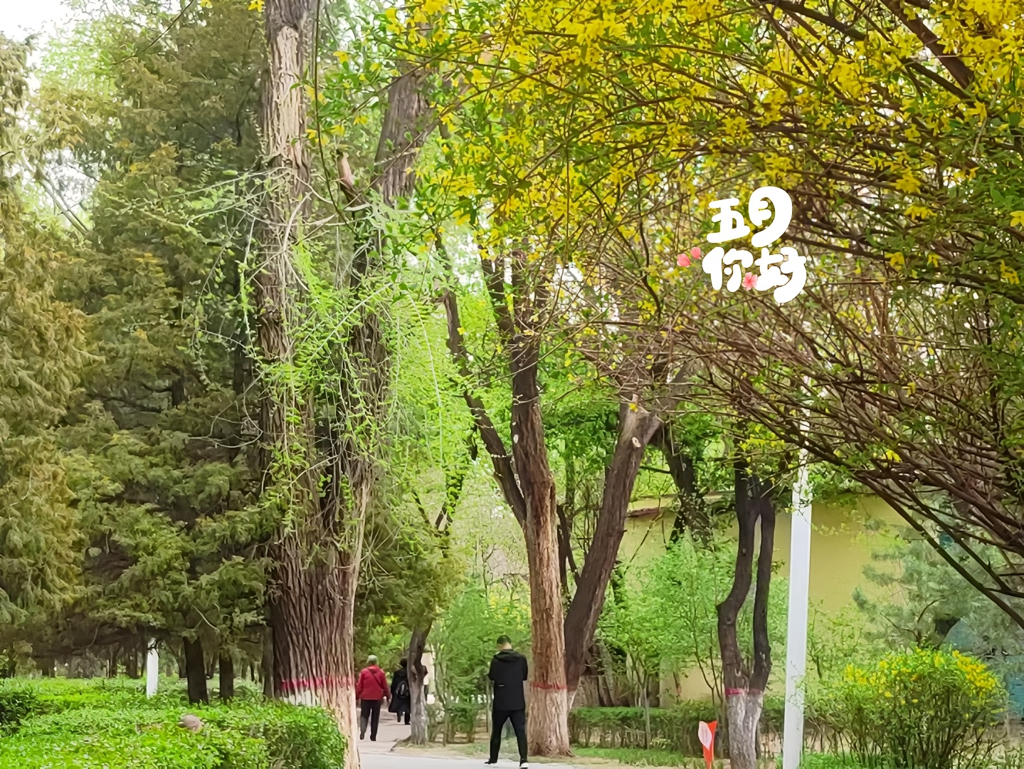 内蒙古呼和浩特市玉泉区公园风景优美 空气清新，值得去静静的散心的好地方
