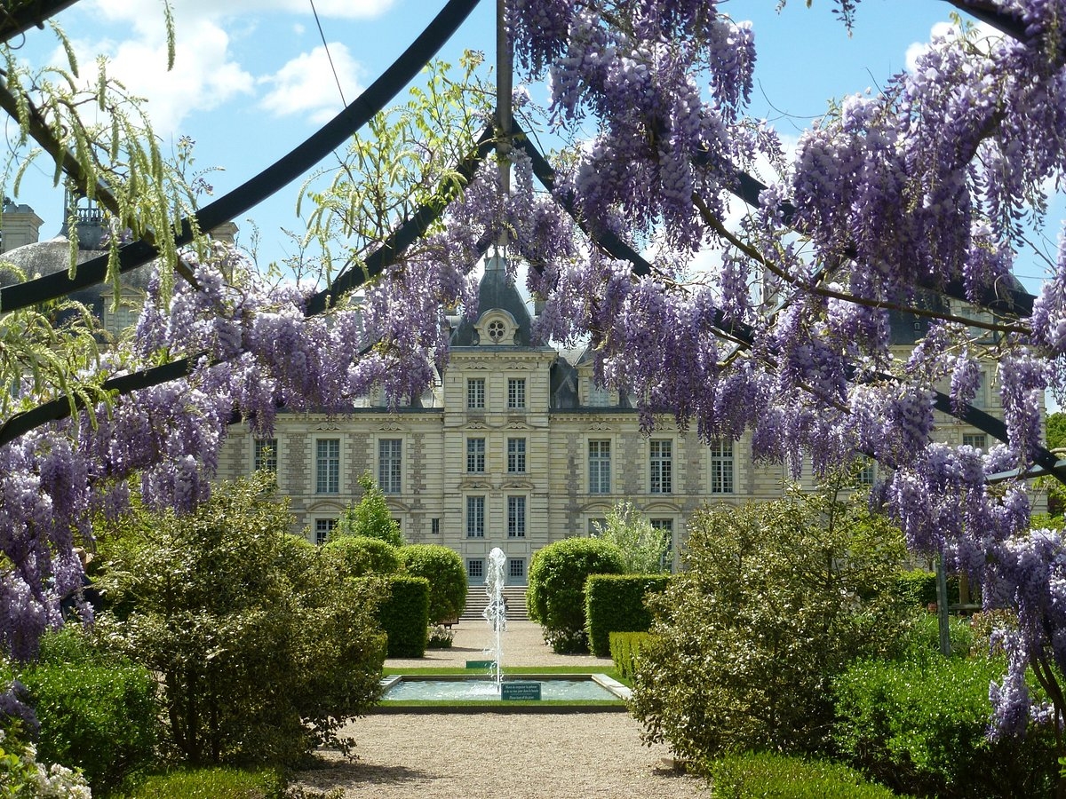 探索法国华丽古堡：Château de Cheverny 旅游攻略