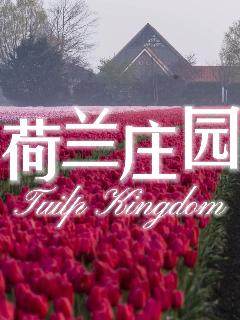 阿尔斯梅尔爱士曼鲜花拍卖市场游玩攻略-爱士曼鲜花拍卖 市场门票多少钱/价格表-团购票价预定优惠-景点地址在哪里/图片介绍/参观预约/旅游游览顺序攻略及注意事项/营业时间-【携程攻略】