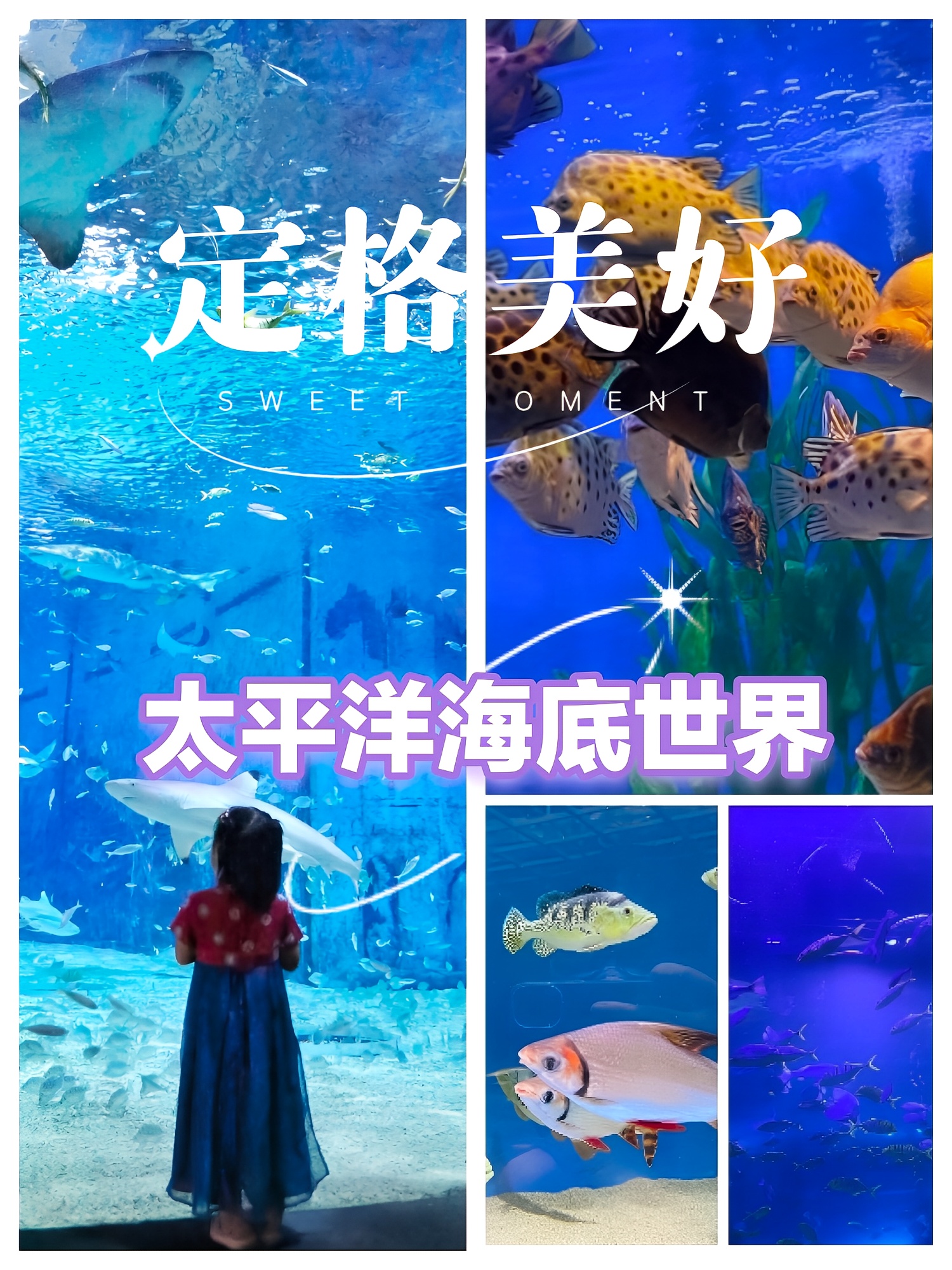 北京太平洋海底世界