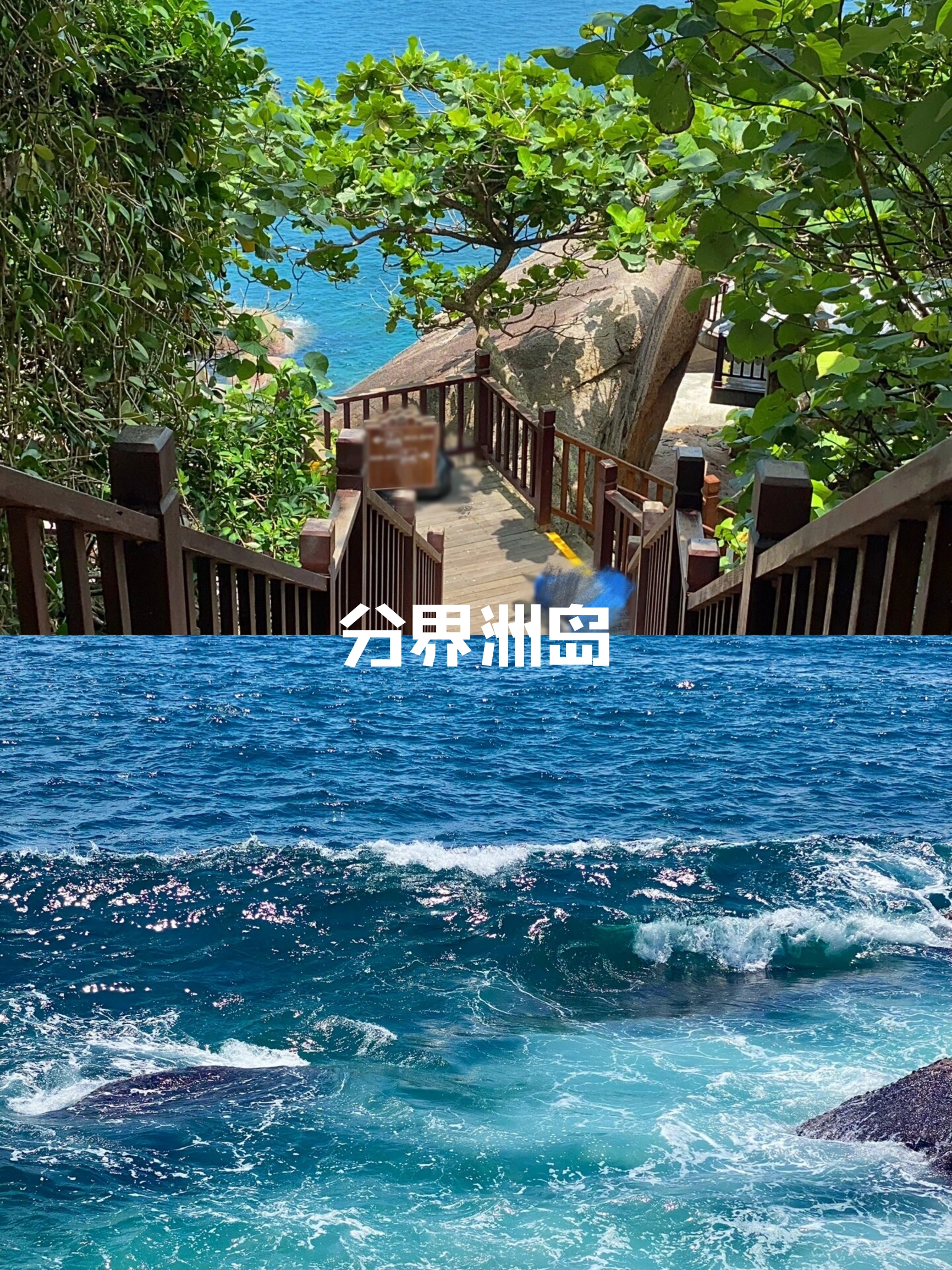 真的在国内‼️玻璃果冻海美哭了🌊