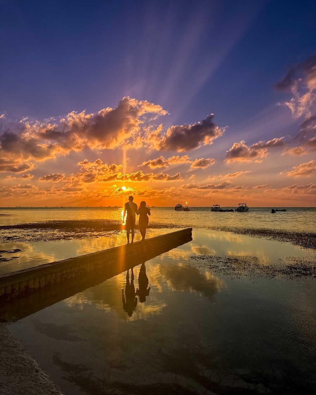 The Cracked Conch by the Sea