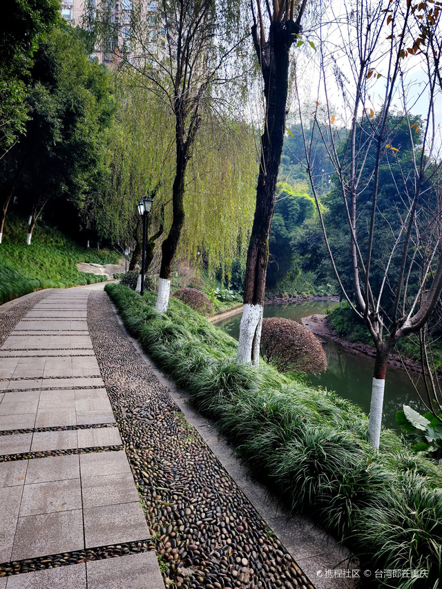 渝北区市中心的一点宁静,盘溪河公园
