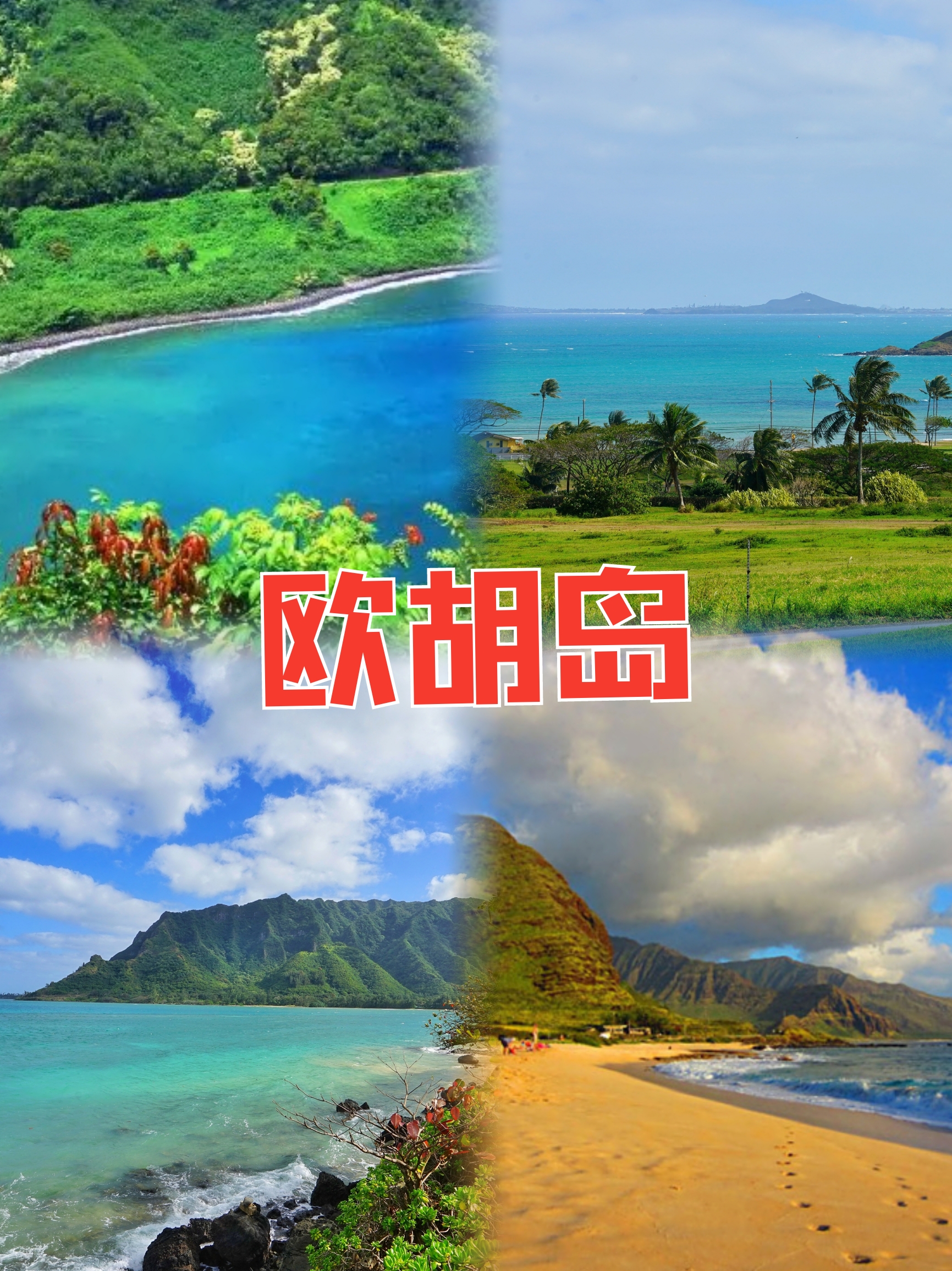 夏威夷之心：欧胡岛的自然奇观与冒险之旅🏖🌞🌴