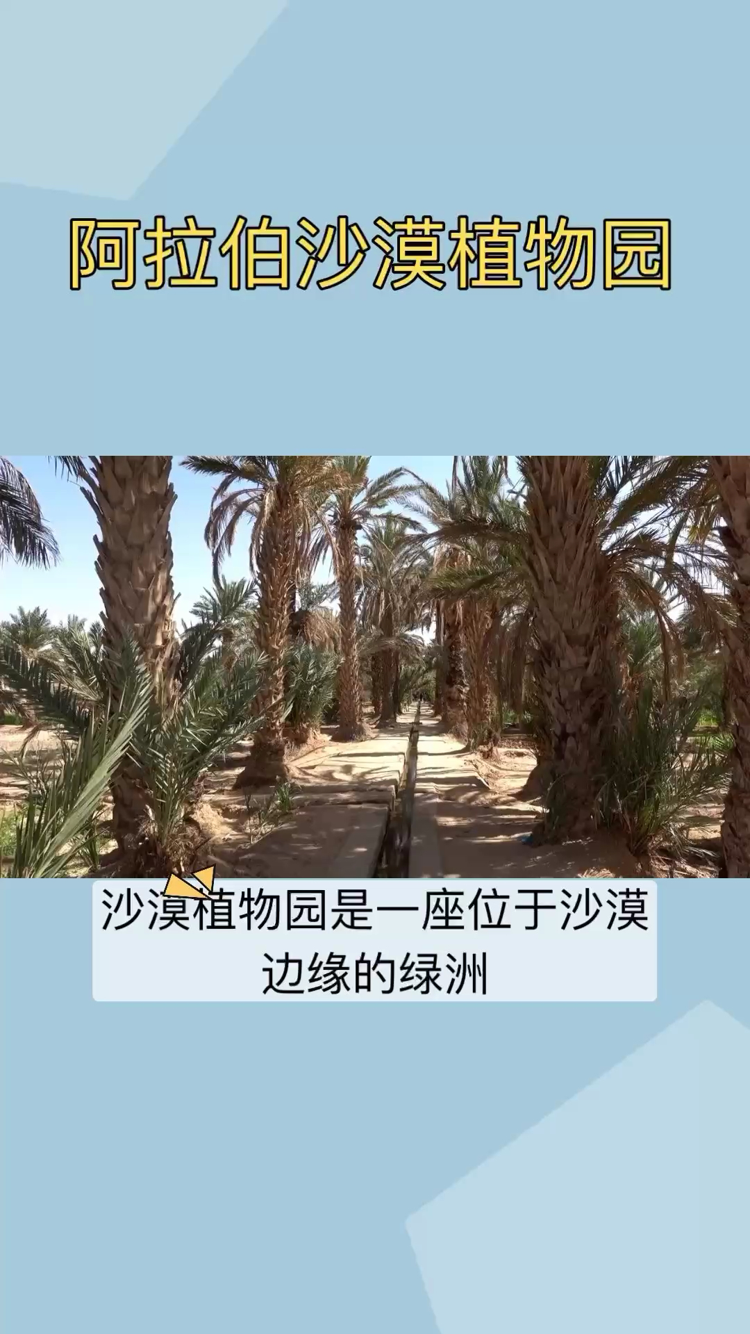 在沙漠植物园内，游客可以欣赏到各种各样的植物和景观