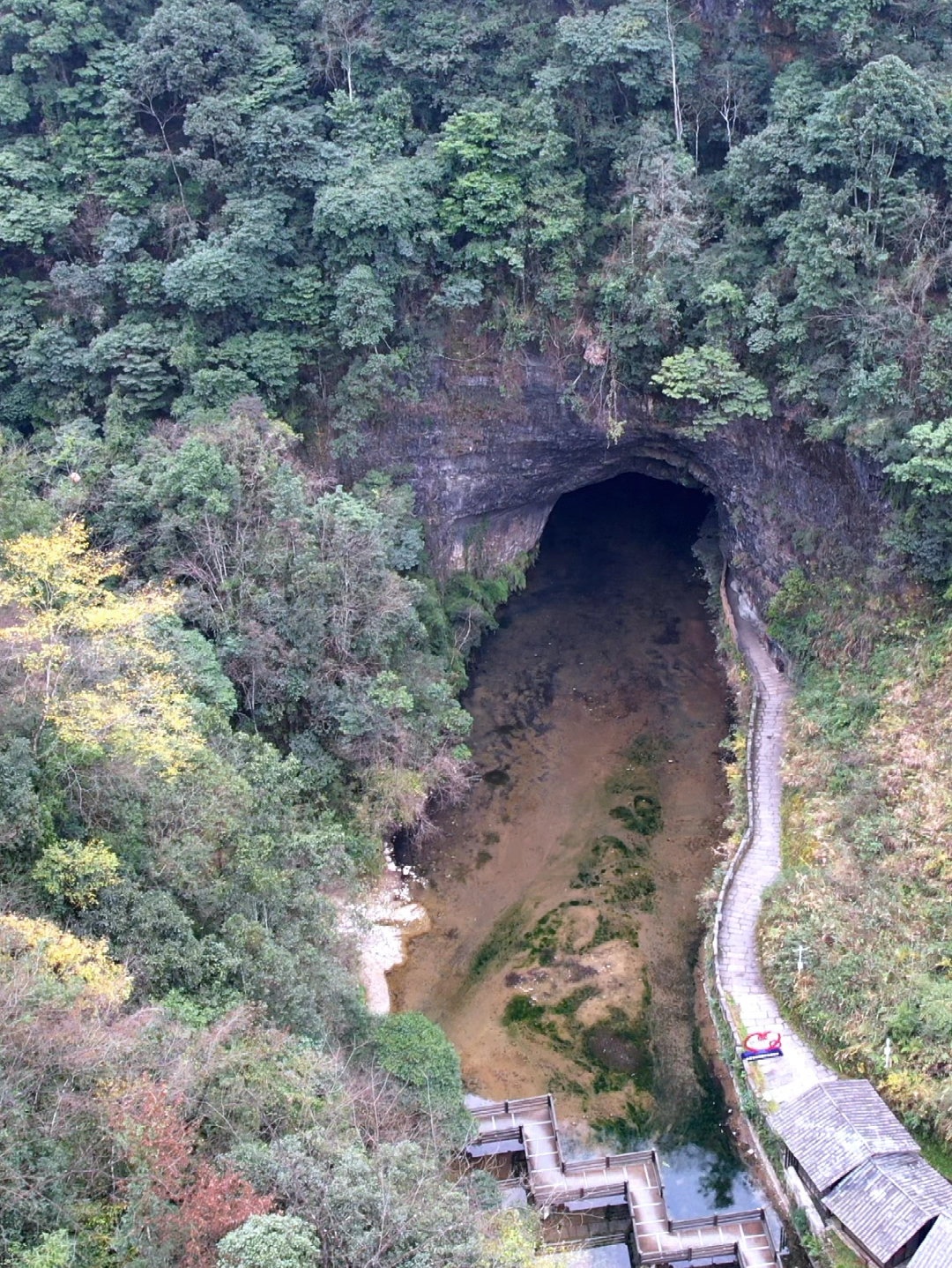 贵州大山深处发现一个神秘山洞，只见洞内山泉水清澈见底，还修建了一条很长的步道通往洞中 #神秘山洞 #