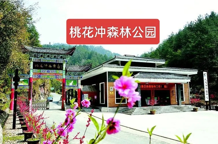 桃花冲森林公园