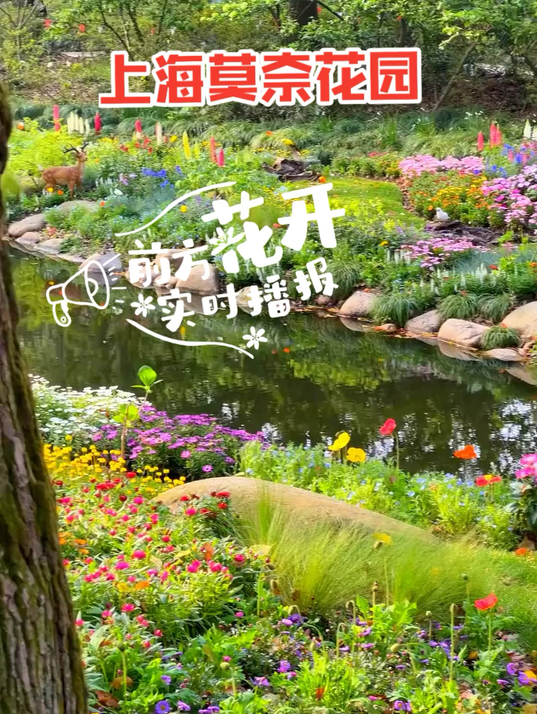 上海莫奈花园