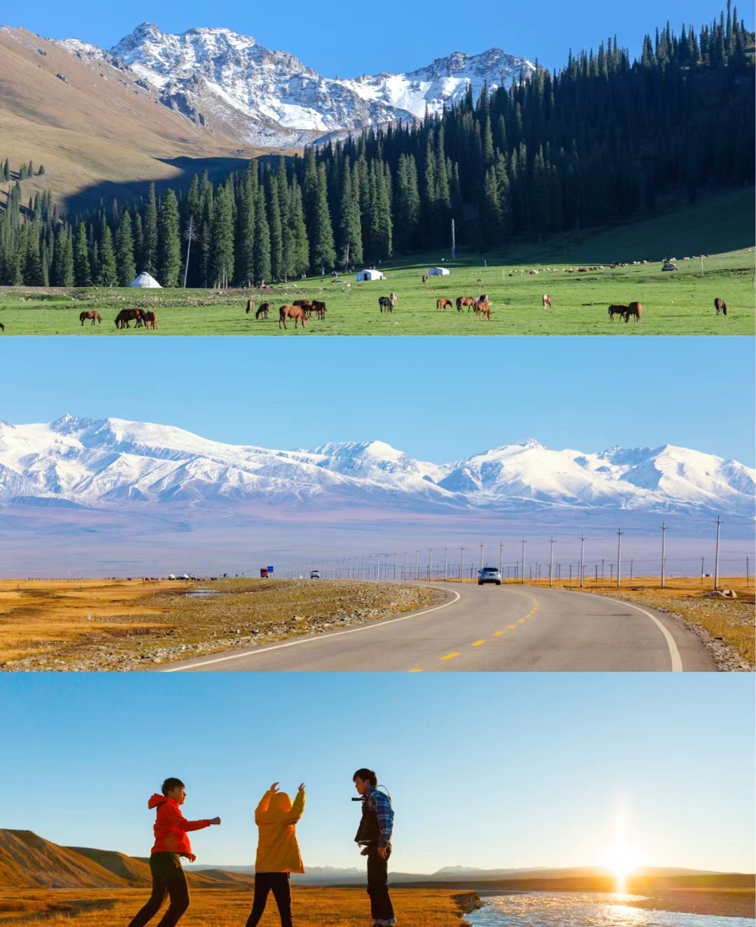 新疆大草原，绿意盎然，马儿奔腾，羊群如云构成了一幅美丽的画圈