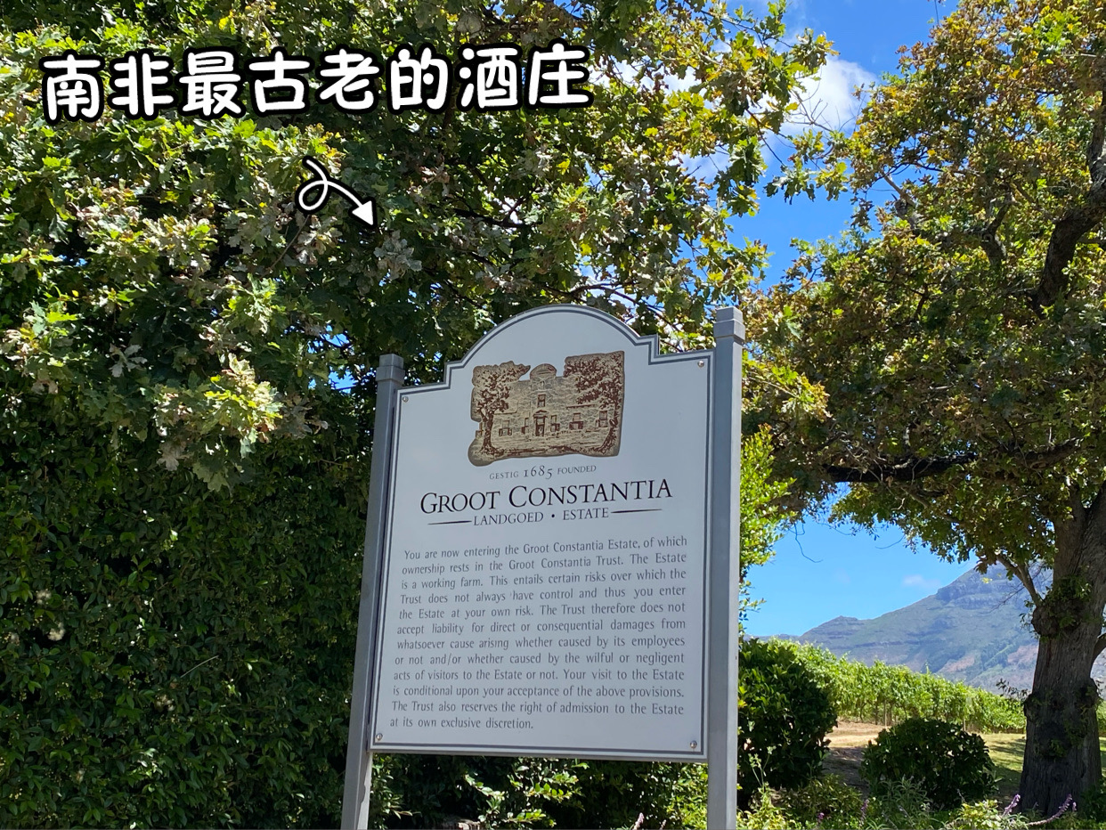 南非最古老的酒庄 Groot Constantia
