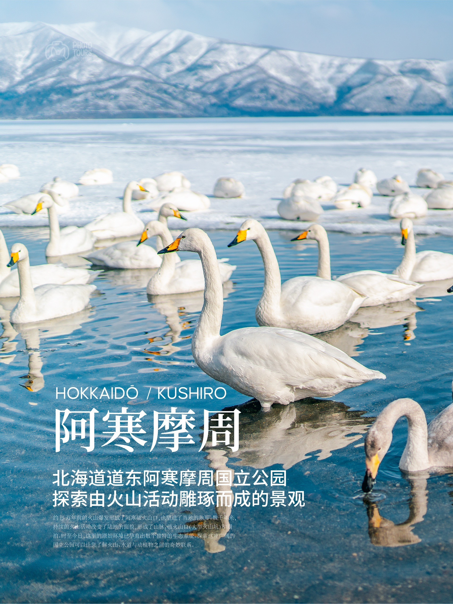 北海道｜雪山湖光中的天鹅童话