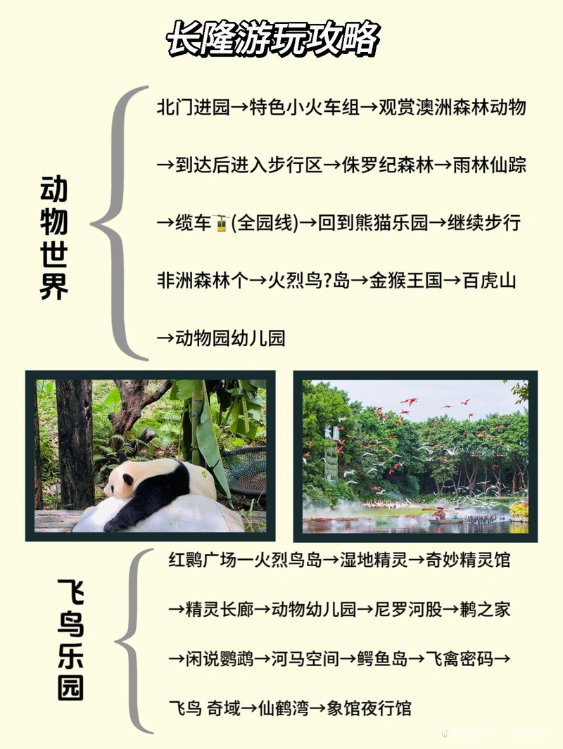 为什么没人，把长隆旅游攻略说明白❤️在这里|||