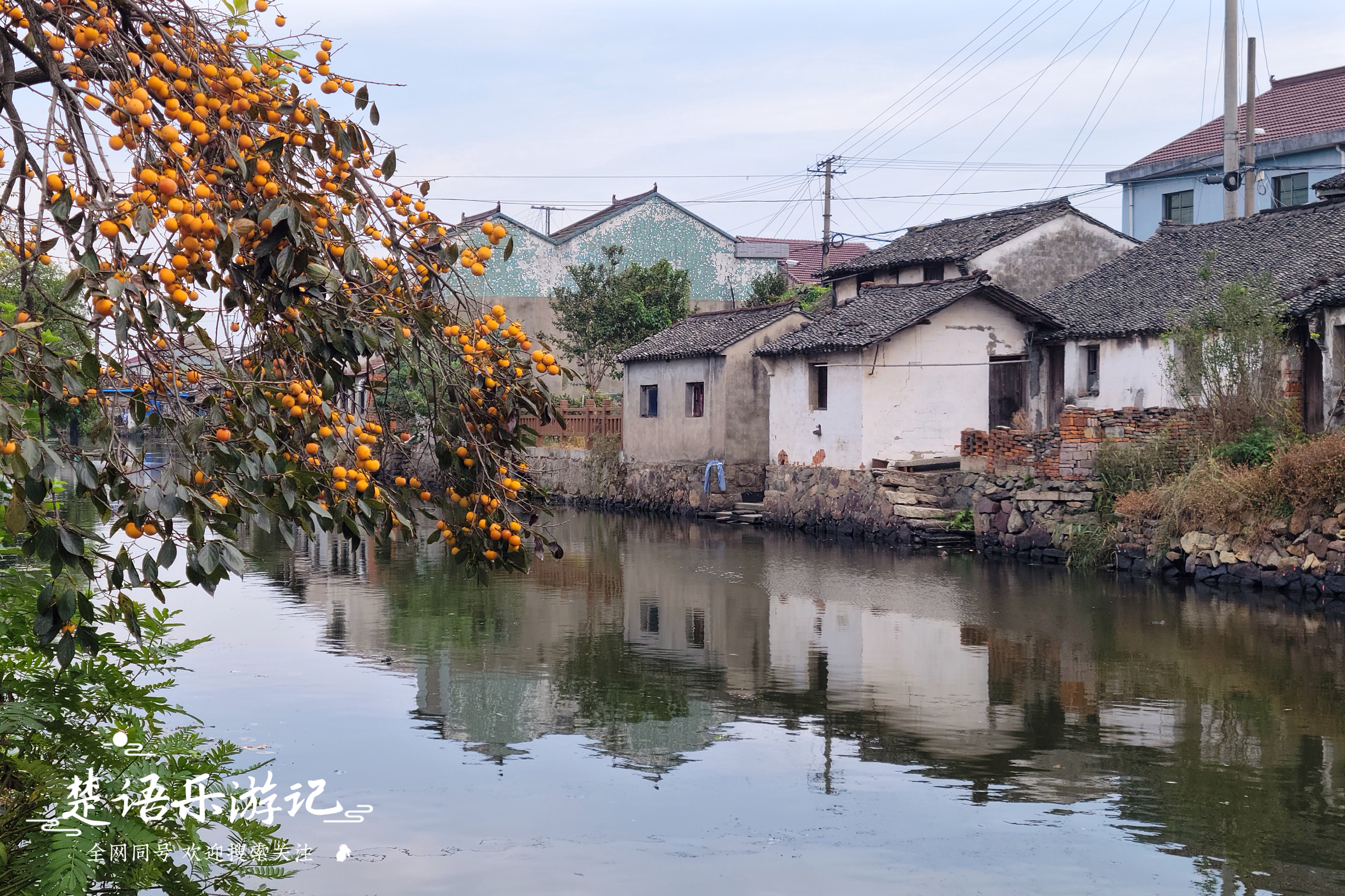 浙江上虞五夫村，最早的水乡古镇之一，老街秋景美如画