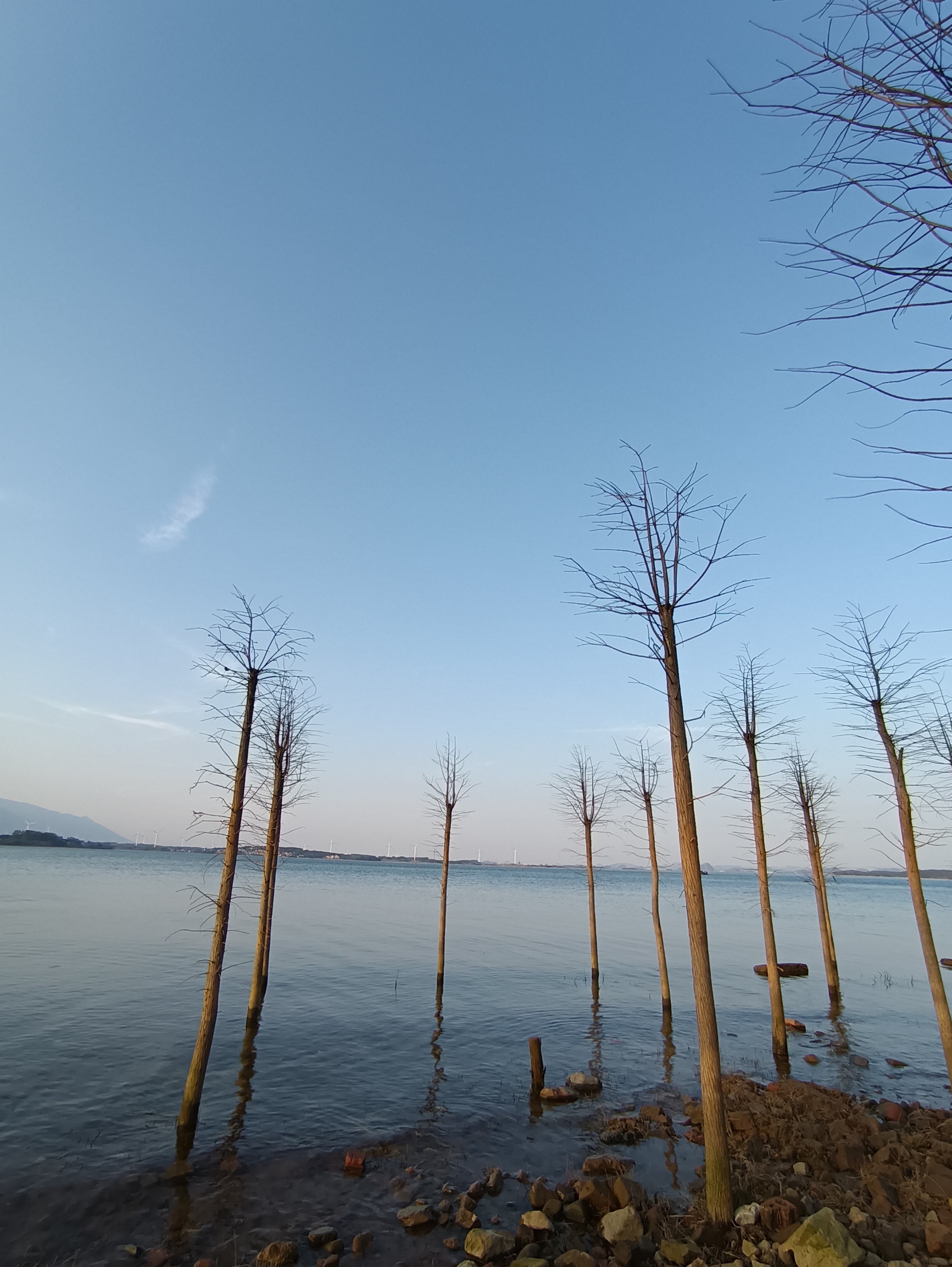 贺州的海——碧溪湖湿地公园