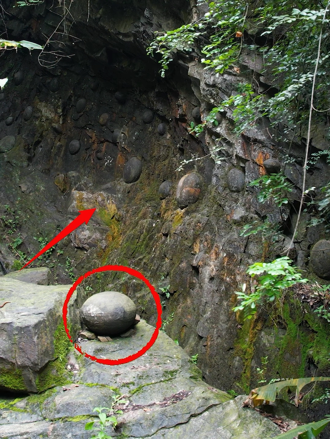 贵州深山中，发现一神秘崖壁，每隔30年就会下一颗“石头蛋”，它们到底是怎么形成的呢？ #自然奇观 #
