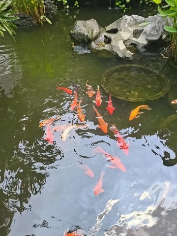 广州藏于广州闹市中的岭南园林|十香园