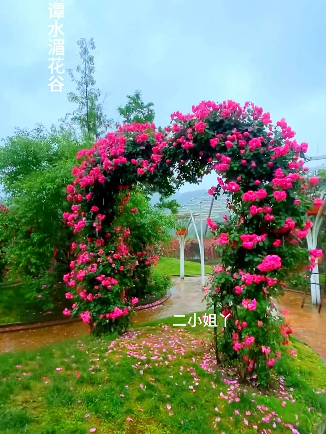 风很温柔，花很浪漫，这里是贵州湄潭水湄花谷，今年你想和谁一起去呢 #水湄花谷 #遵义湄潭