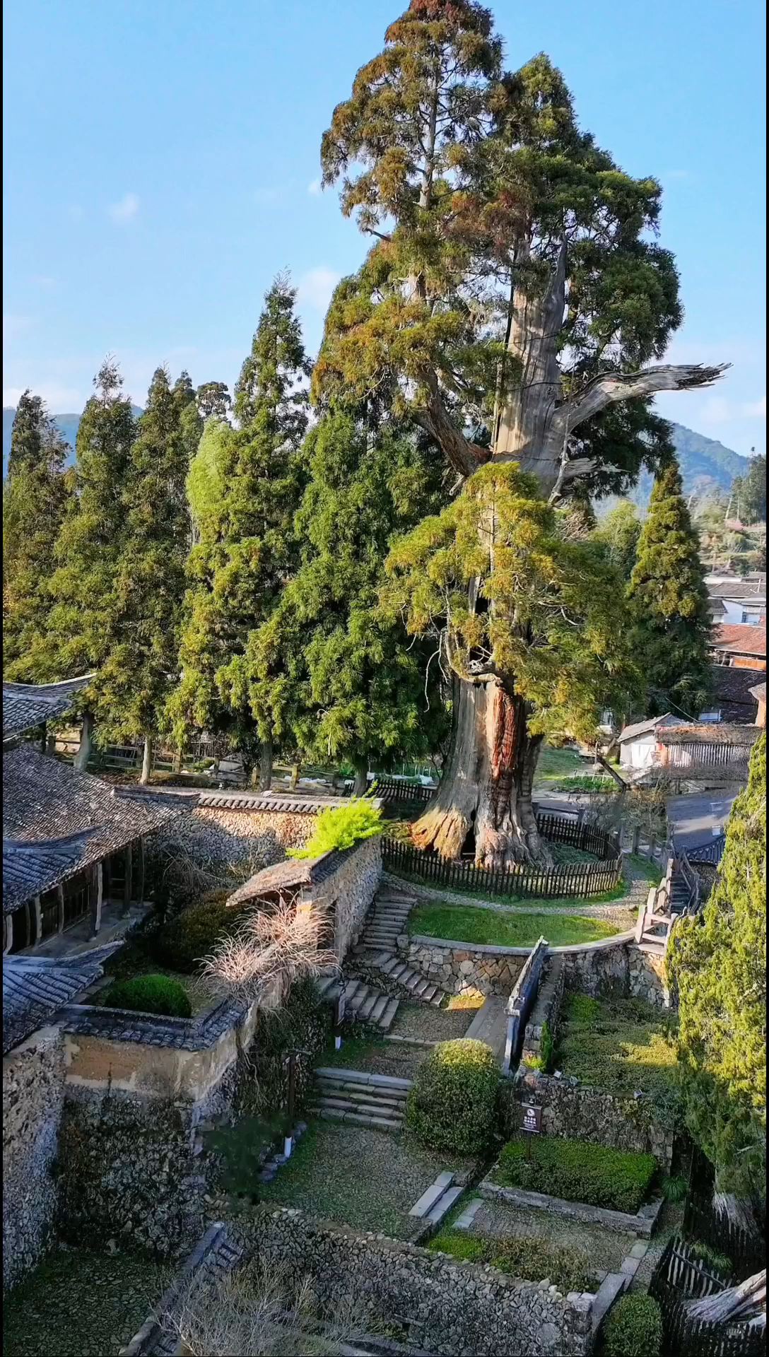 想要探索浙江丽水的神秘古寺吗？快来跟随我的脚步，一起揭开时思寺的美丽面纱吧！ 大家好，我是你们的生活