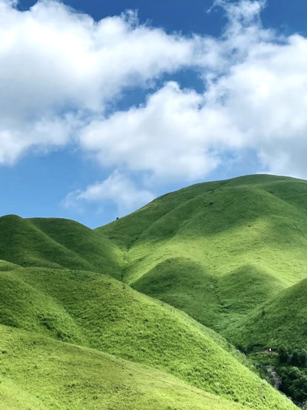 柘荣慢城|逃离城市的喧嚣~ 🌟假期即将来临，避开人潮，主打一个反向旅游🌟 美食美景样样俱全，感受久违