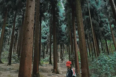 中坝森林公园