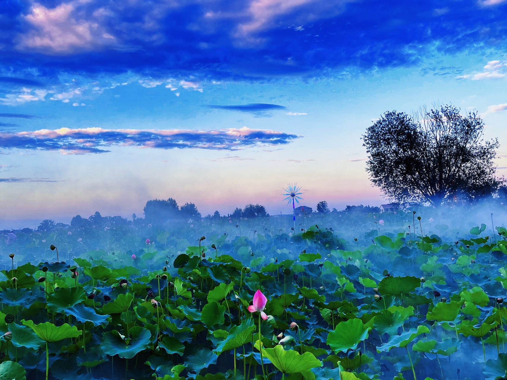 潘铺生态休闲农庄餐厅图片
