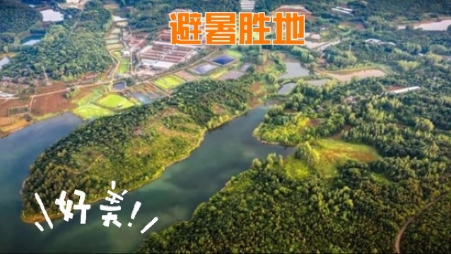 黄栗树生态美食土菜馆餐厅图片