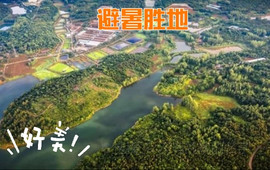黄栗树生态美食土菜馆