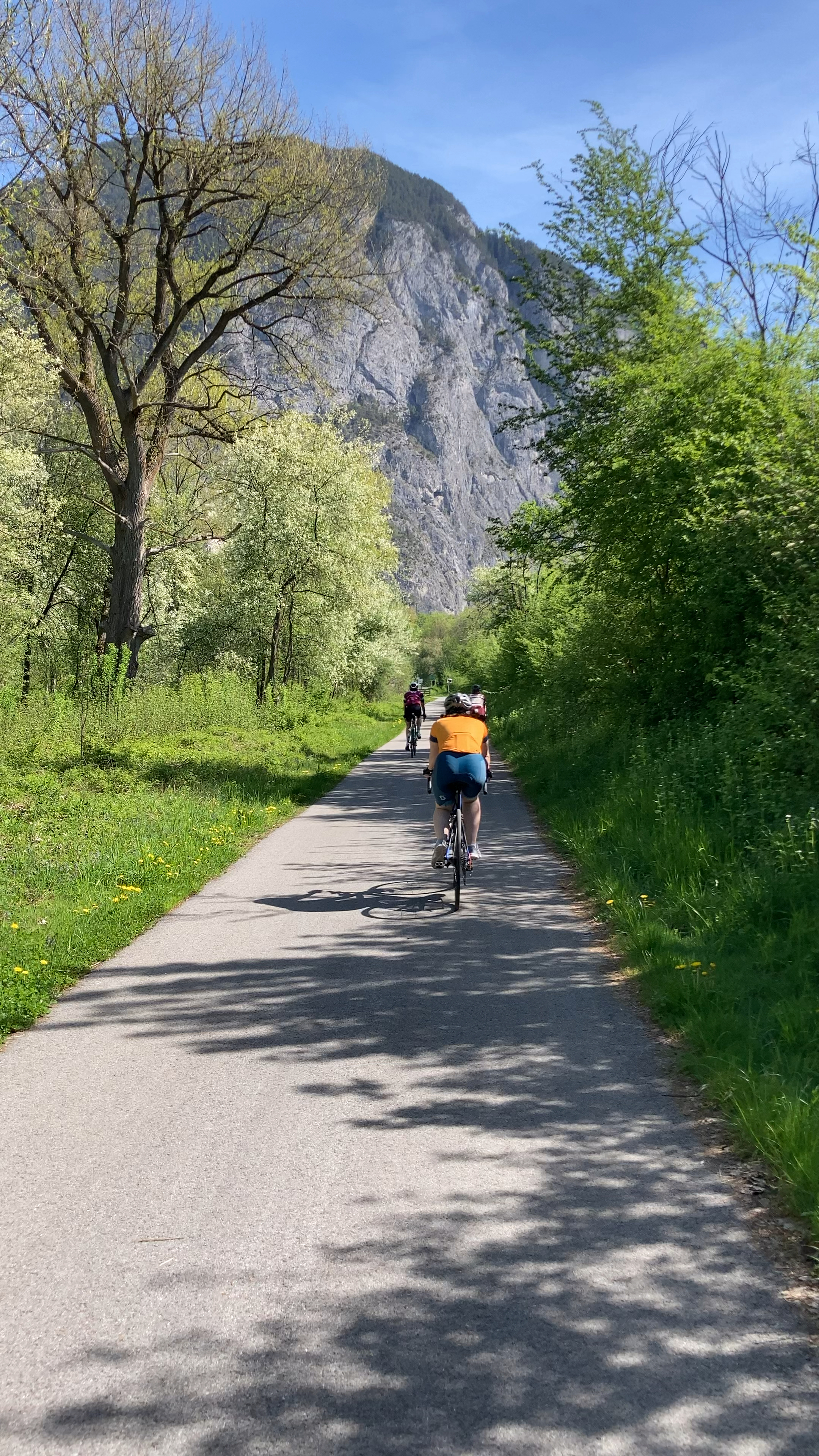 骑行在夏天的阿尔卑斯