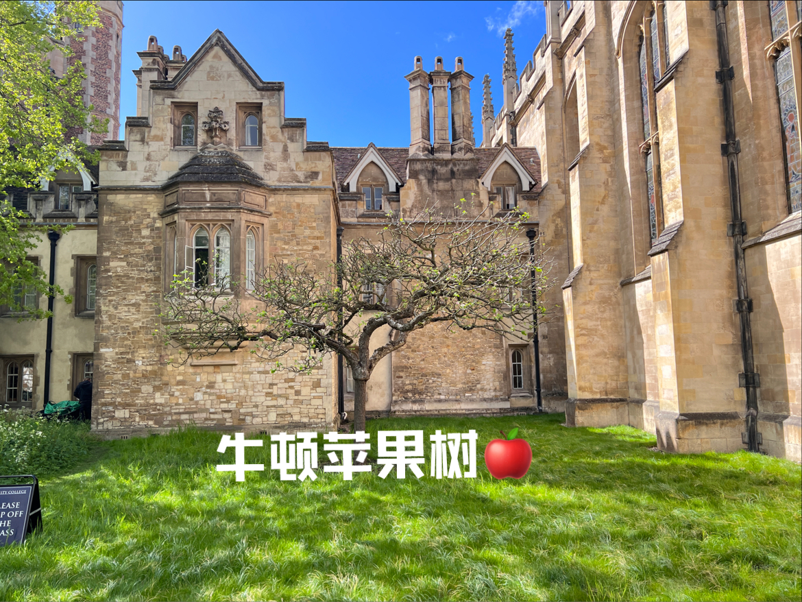 剑桥大学，徐志摩诗集，牛顿苹果树，圣体钟 剑桥大学
