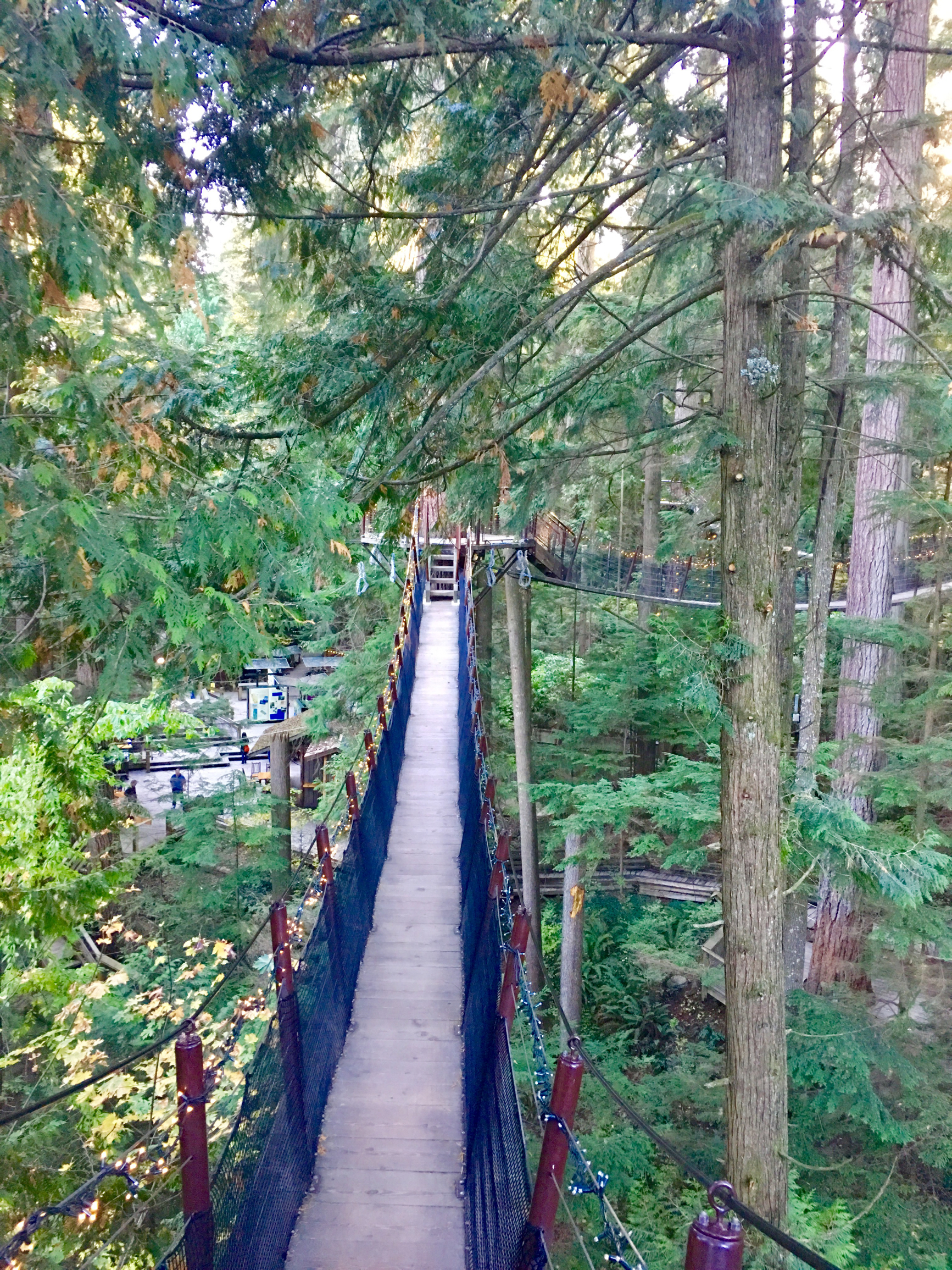 温哥华卡皮拉诺吊桥公园