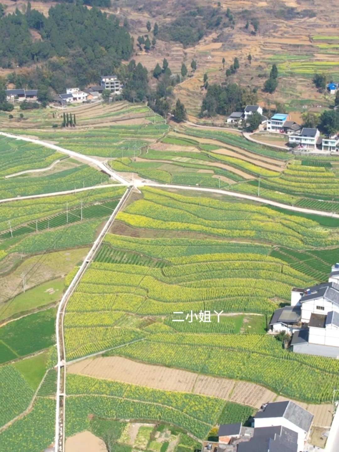 乡野田间，乡春气息，农村生活，故乡原风景 #农村田园生活