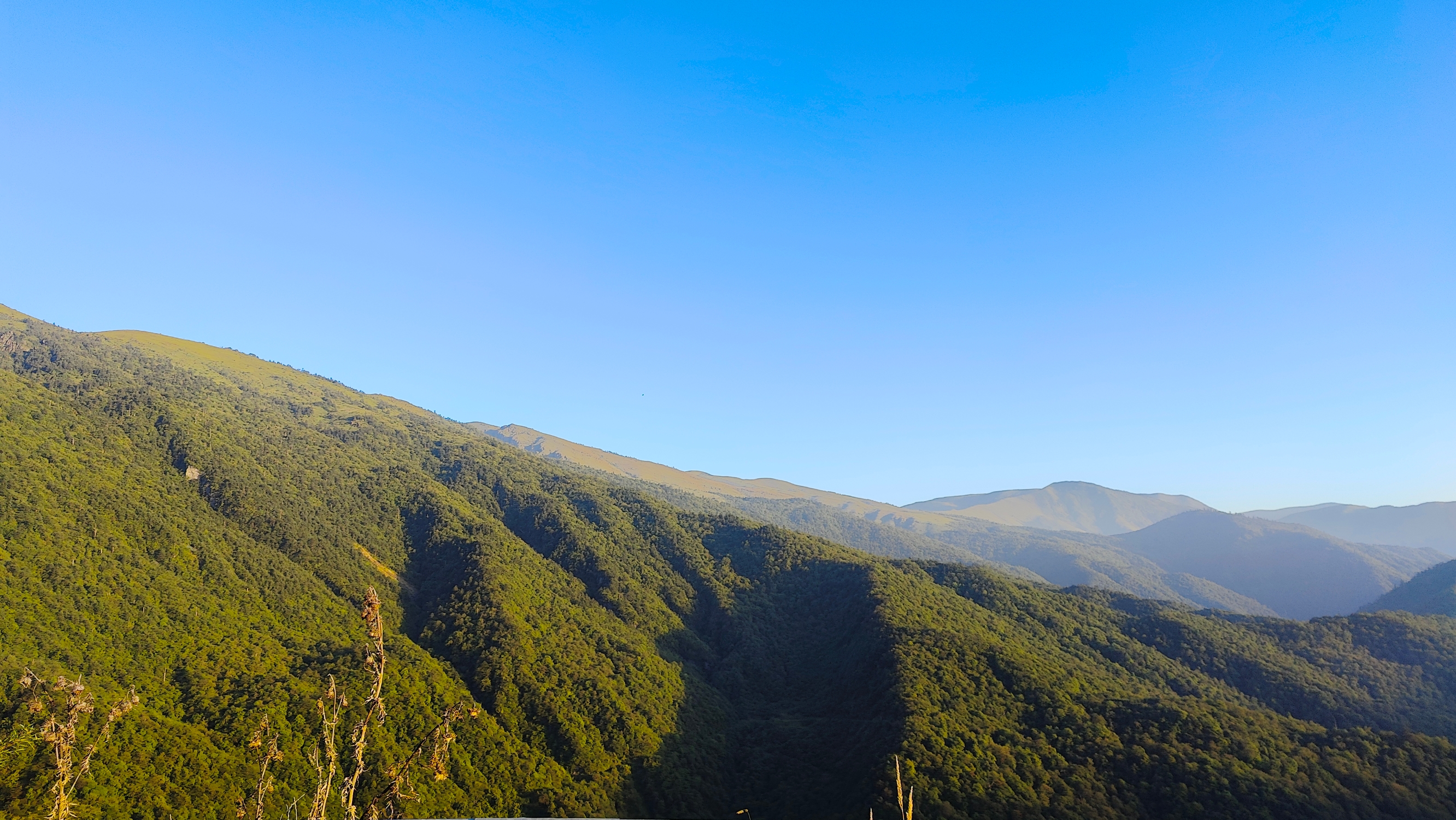 农村的风景